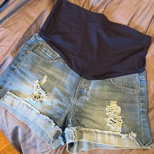 Maternity Shorts